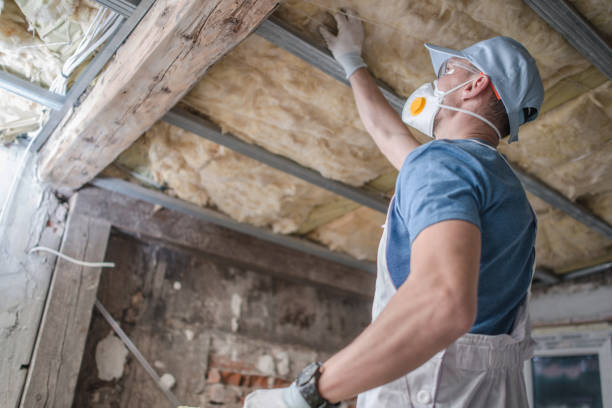 Best Insulation Maintenance and Repair in Springville, AL